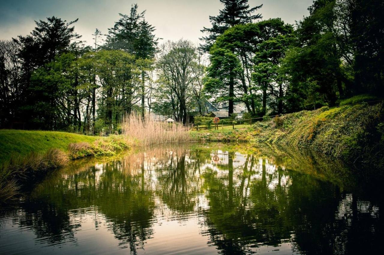 Gellifawr Woodland Retreat Hotel Pontfaen Luaran gambar