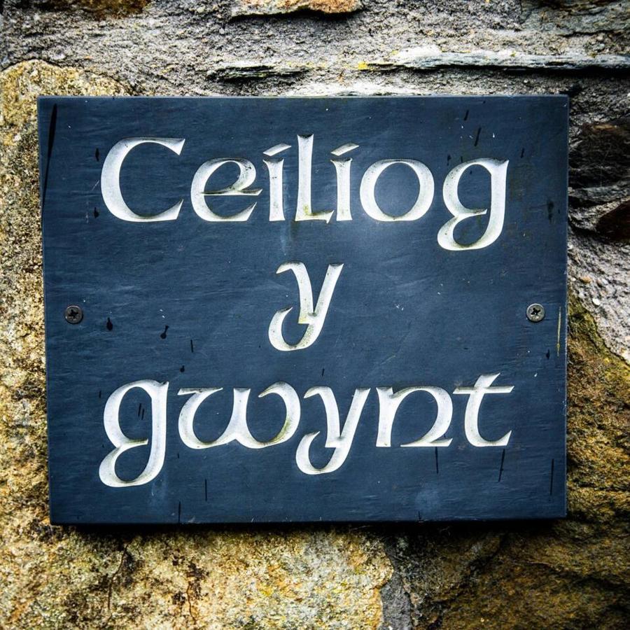 Gellifawr Woodland Retreat Hotel Pontfaen Luaran gambar
